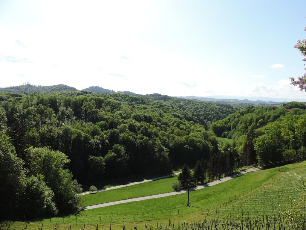 Weingut Gaestezimmer Gruber Ehrenhausen Exteriér fotografie